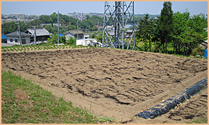 植え付け前の畑